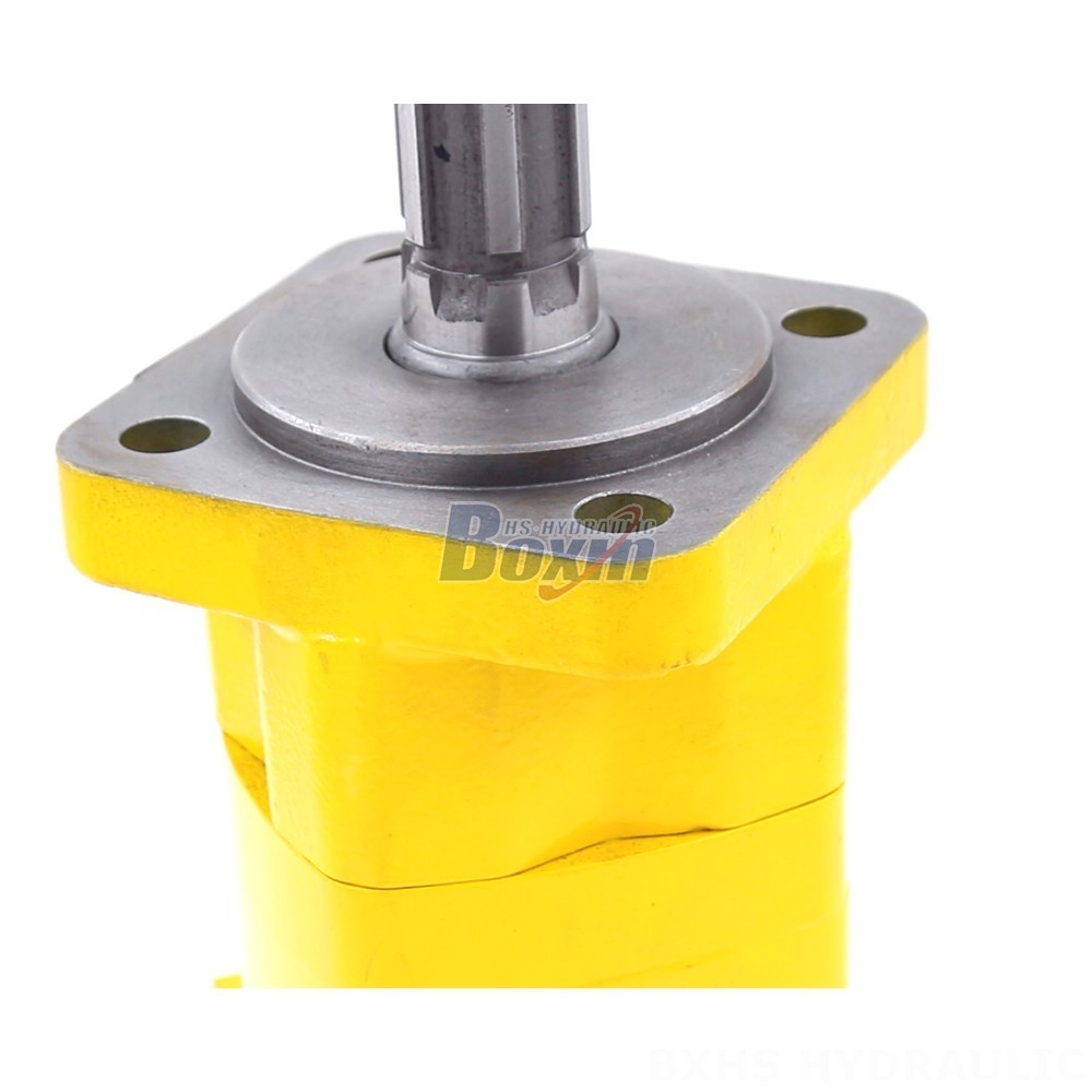 BM5 Cycloid Hydraulic Motor: OEM/ODM Services Available detail image